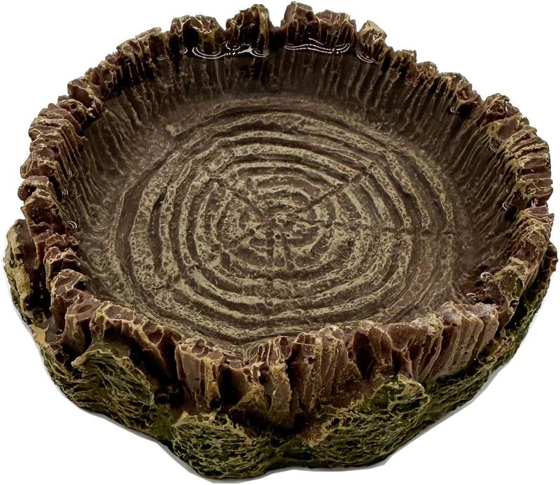 CATENEED Small Reptile Food Dish, 2 Pack Reptile Feeding Food Bowls for Bearded Dragon Gecko Lizard Frog Hermit Crab Snail Toad - Image 3